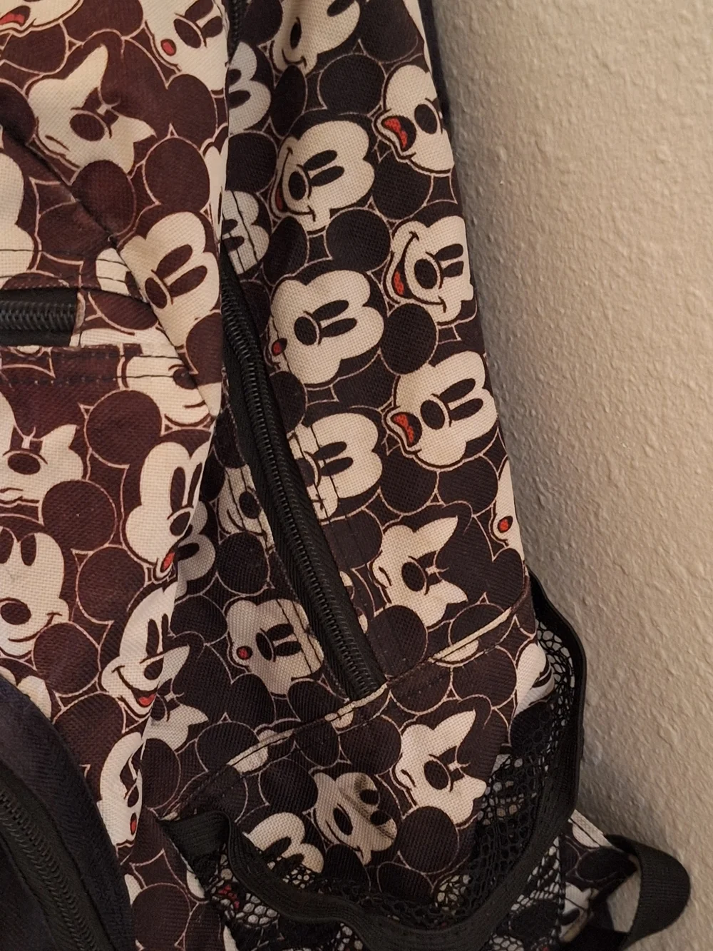 Disney authentic parks